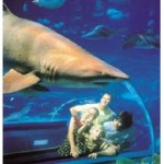 Underwater World on the Sunshine Coast