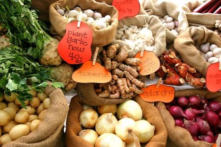 Noosaville-Sunshine-Coast-QLD-7